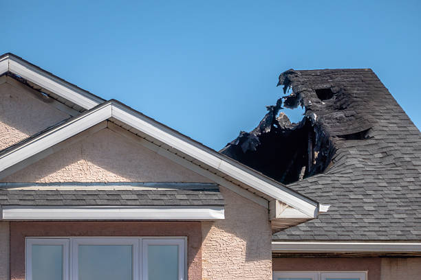 Top rated local Odor Removal specialists in Jackson, NJ